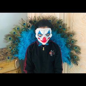 Peacock Costume